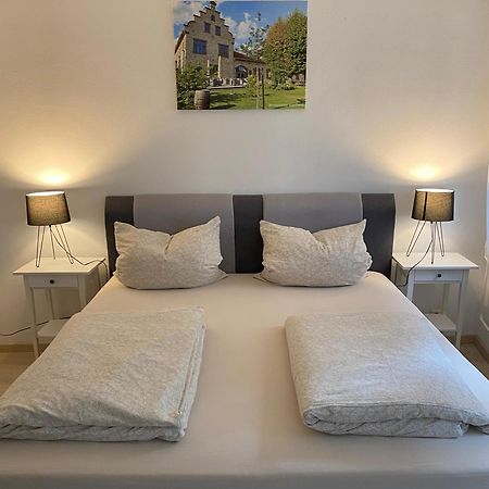 Ferienwohnung Stiegel Ingelheim am Rhein Esterno foto